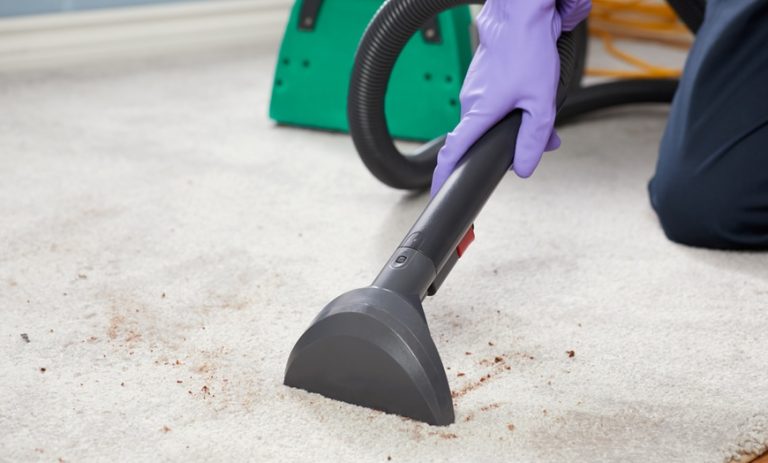 Unveiling Excellence: Houston’s Top Carpet Cleaner Services