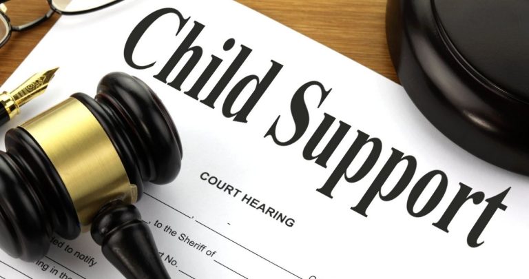 Can a child support lawyer assist with cases involving domestic violence?