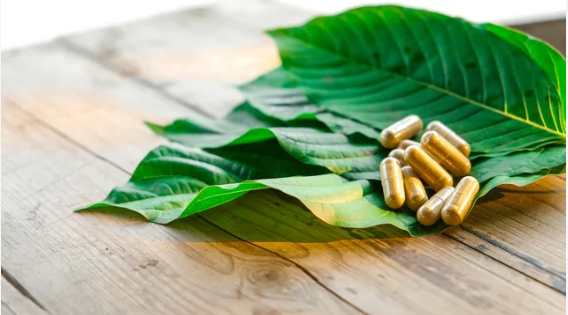 Evaluating the Quality of Kratom Pills from Top Vendors