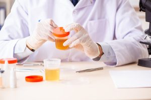 best synthetic urine